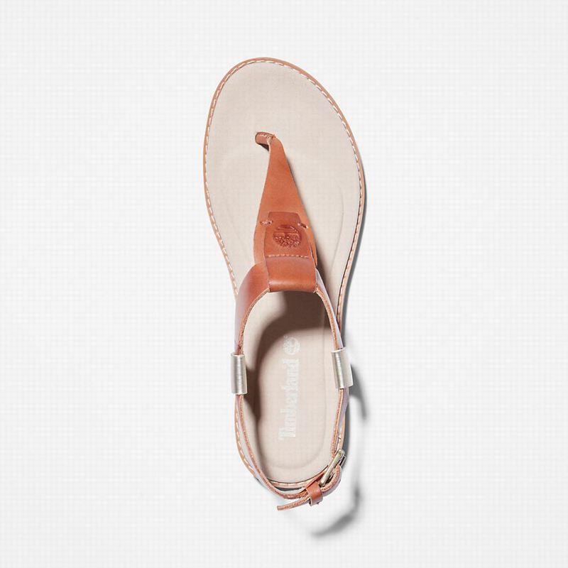Timberland Chicago Riverside Thong Sandale Smeđe | 38491936