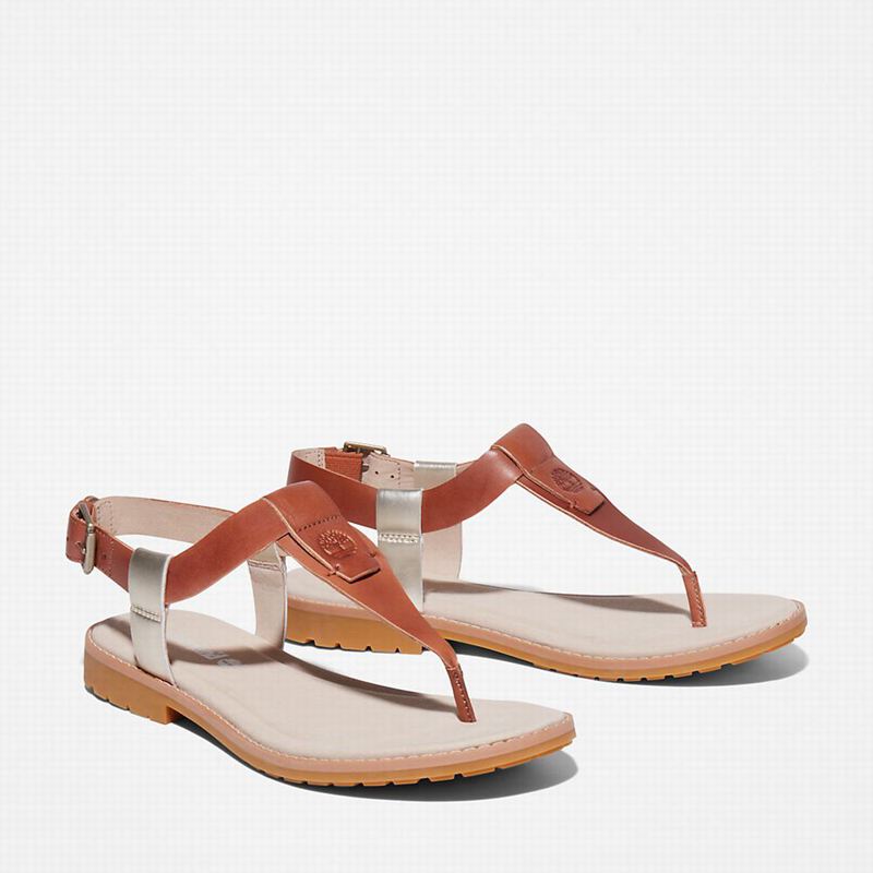 Timberland Chicago Riverside Thong Sandale Smeđe | 38491936