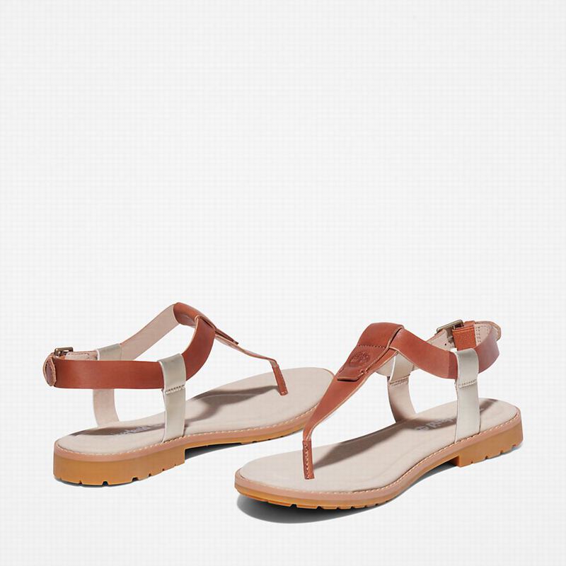 Timberland Chicago Riverside Thong Sandale Smeđe | 38491936