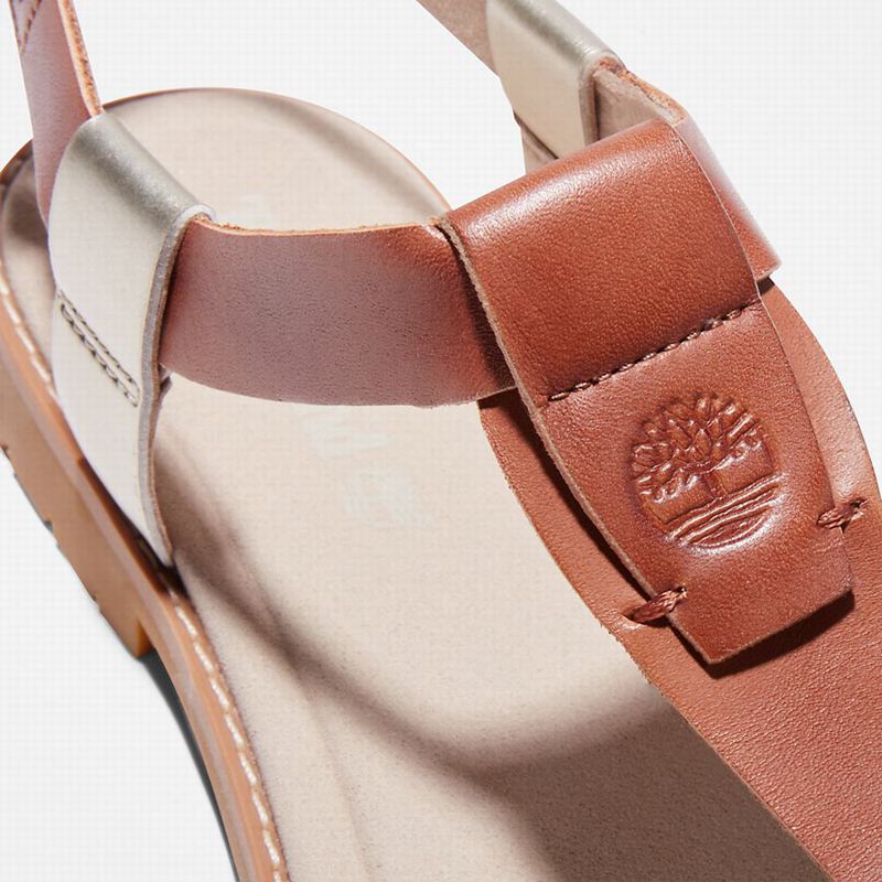 Timberland Chicago Riverside Thong Sandale Smeđe | 38491936