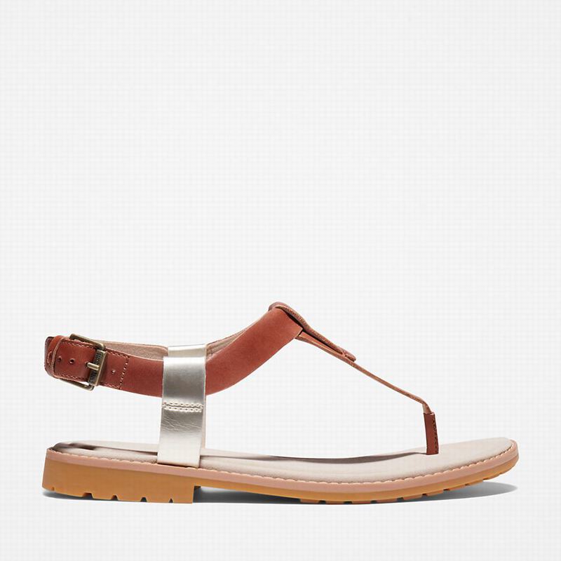 Timberland Chicago Riverside Thong Sandale Smeđe | 38491936