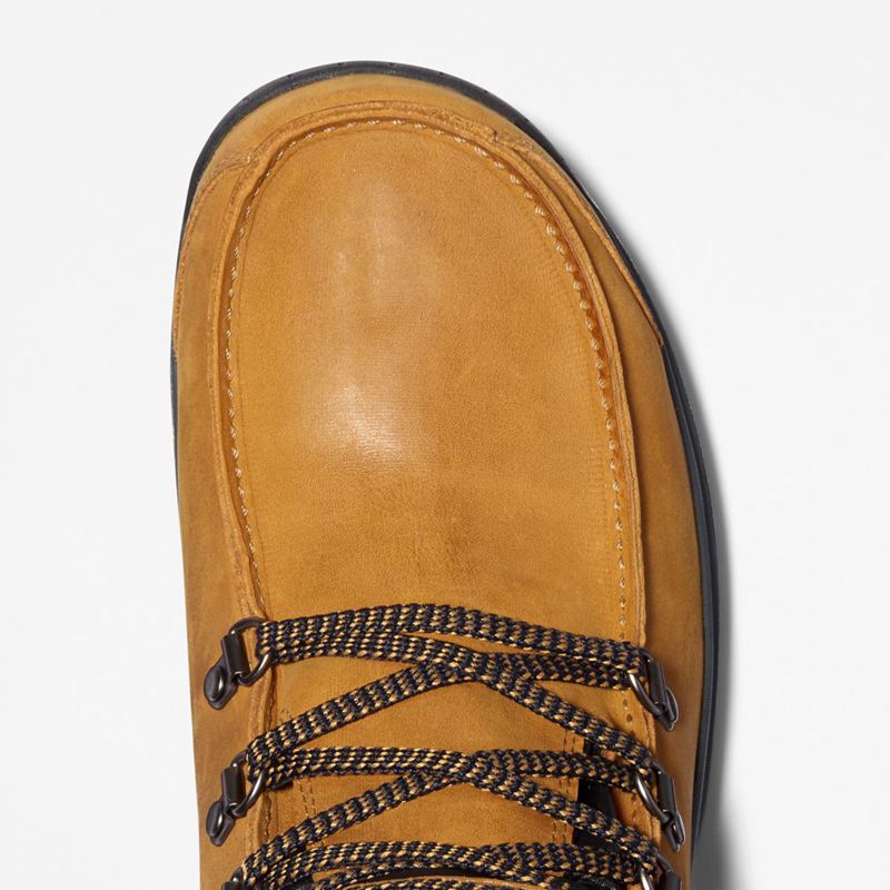Timberland Chillberg Mid Sport Waterproof Planinarske Cipele Smeđe | 89989435