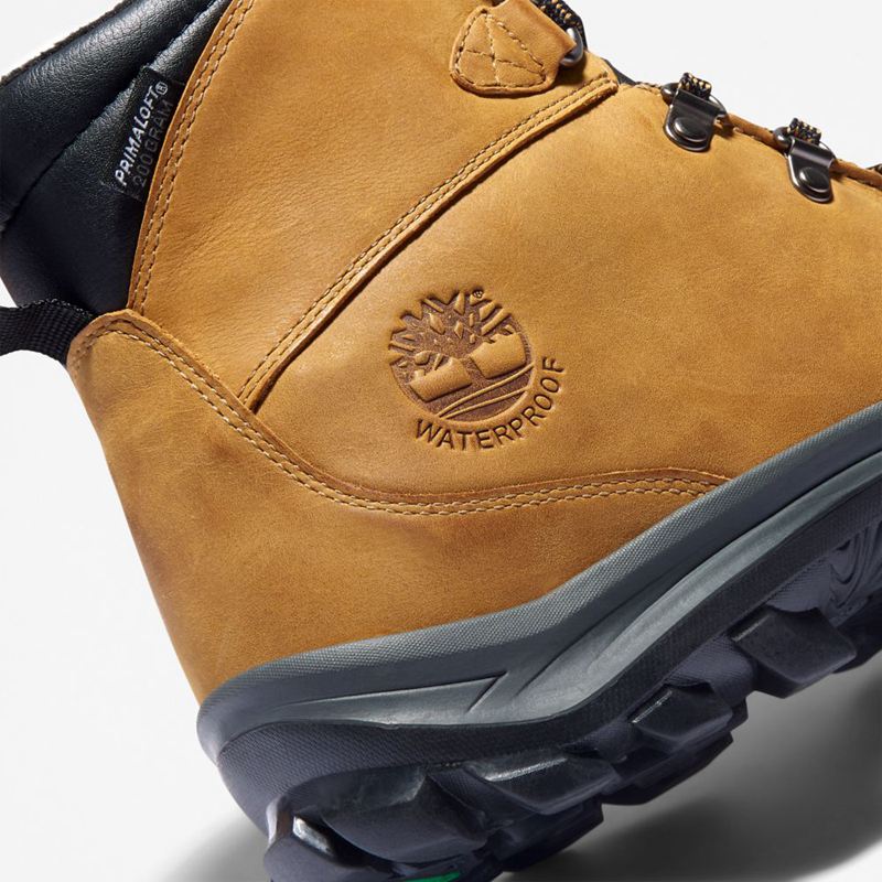 Timberland Chillberg Mid Sport Waterproof Planinarske Cipele Smeđe | 89989435