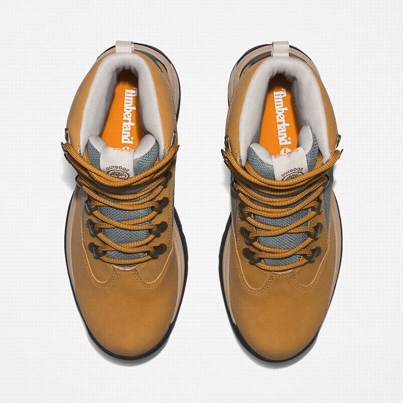 Timberland Chocorua Gore-Tex Planinarske Cipele Žute | 14391423