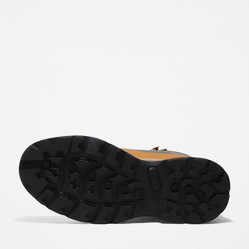 Timberland Chocorua Gore-Tex Planinarske Cipele Žute | 14391423