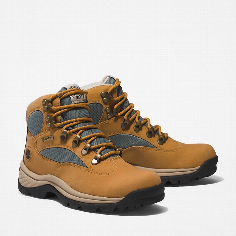 Timberland Chocorua Gore-Tex Planinarske Cipele Žute | 14391423