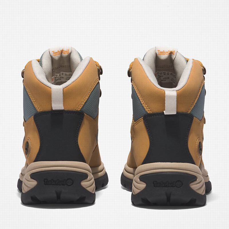 Timberland Chocorua Gore-Tex Planinarske Cipele Žute | 14391423