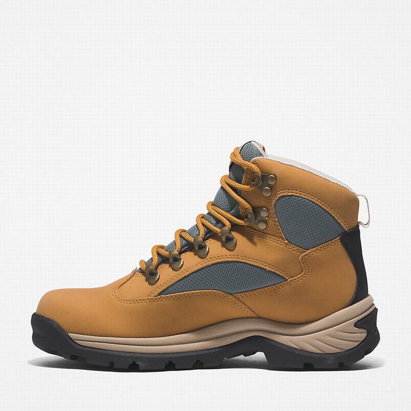 Timberland Chocorua Gore-Tex Planinarske Cipele Žute | 14391423