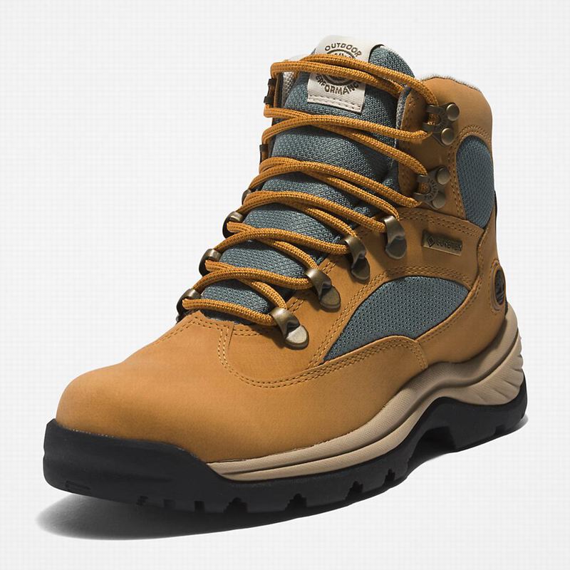 Timberland Chocorua Gore-Tex Planinarske Cipele Žute | 14391423