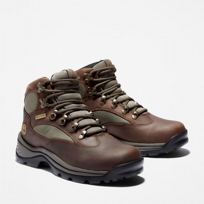 Timberland Chocorua Trail Mid Waterproof Planinarske Cipele Maslinasto Zelene | 59837062