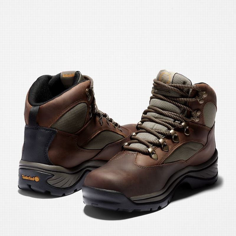 Timberland Chocorua Trail Mid Waterproof Planinarske Cipele Maslinasto Zelene | 59837062