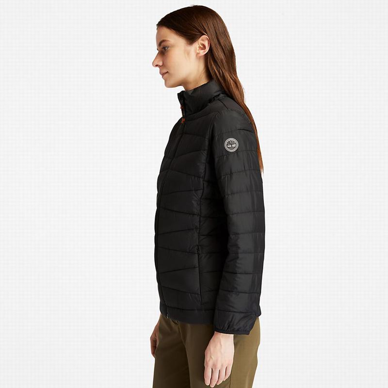 Timberland Chore Jakne Crne | 42325491