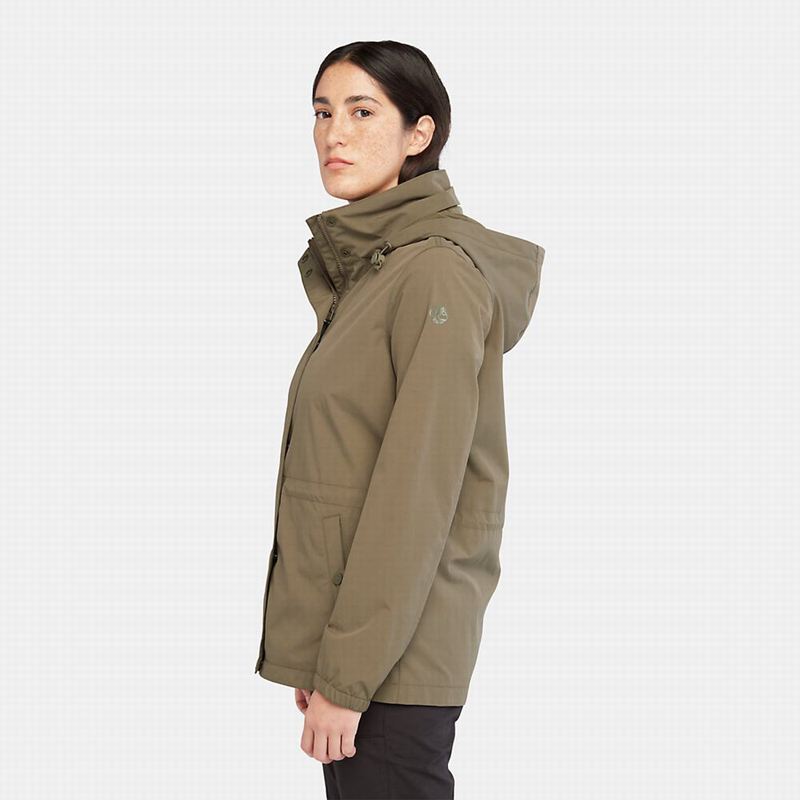 Timberland Chore Jakne Maslinasto Zelene | 78875546