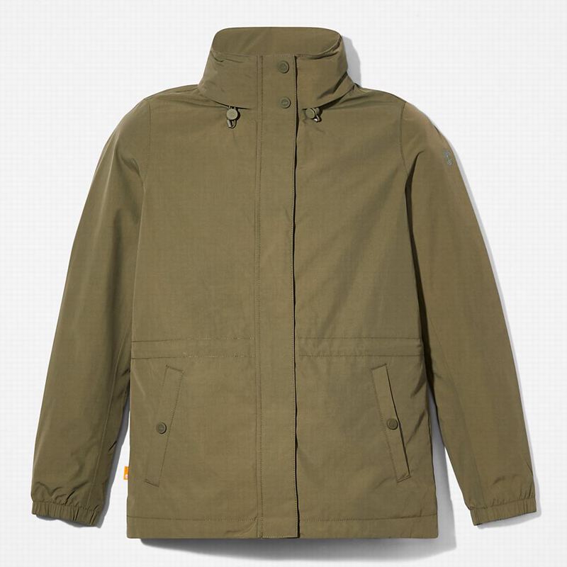 Timberland Chore Jakne Maslinasto Zelene | 78875546