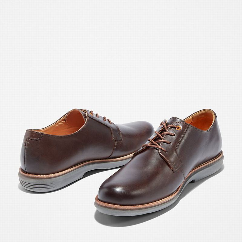 Timberland City Groove Oxfordice Smeđe | 37191544