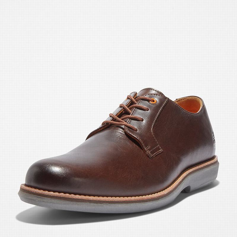 Timberland City Groove Oxfordice Smeđe | 37191544