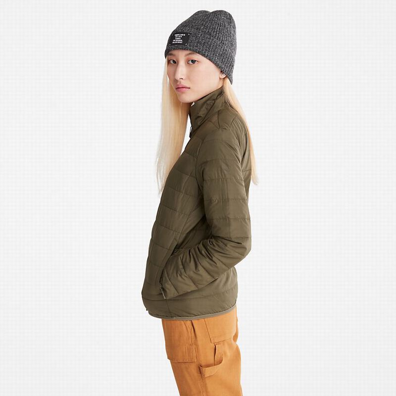 Timberland Classic Jakne Maslinasto Zelene | 67703580