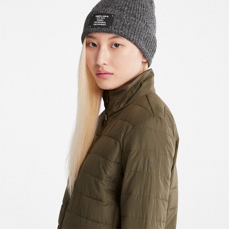 Timberland Classic Jakne Maslinasto Zelene | 67703580
