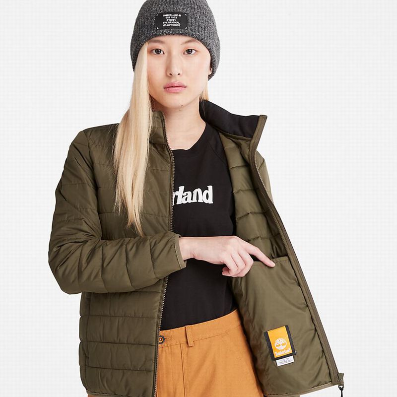 Timberland Classic Jakne Maslinasto Zelene | 67703580