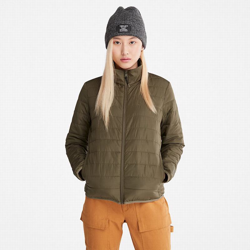 Timberland Classic Jakne Maslinasto Zelene | 67703580