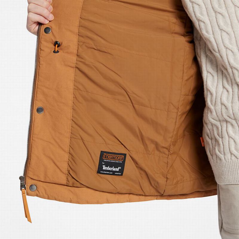 Timberland Comfort-lined Route Racer Jakne Žute | 54643331