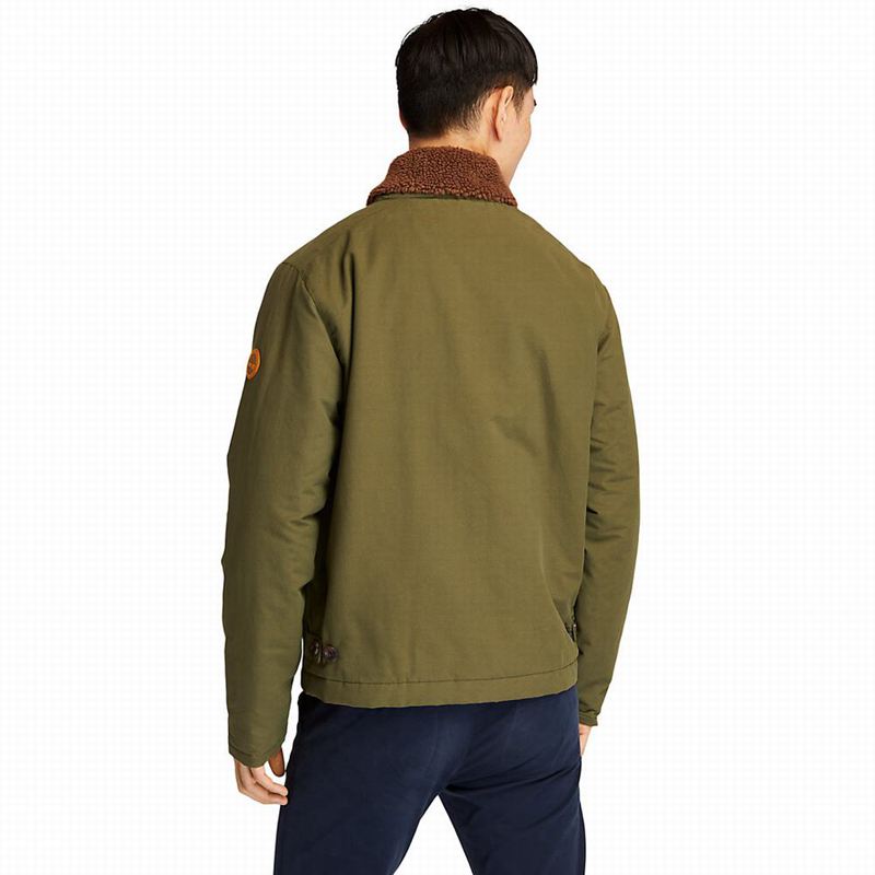Timberland Corduroy Chore Jakne Maslinasto Zelene | 36860196