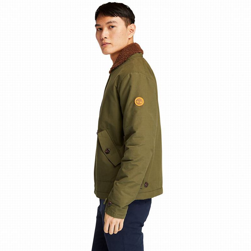 Timberland Corduroy Chore Jakne Maslinasto Zelene | 36860196