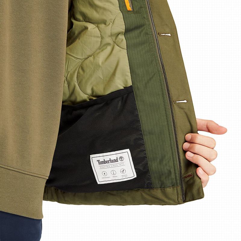 Timberland Corduroy Chore Jakne Maslinasto Zelene | 36860196
