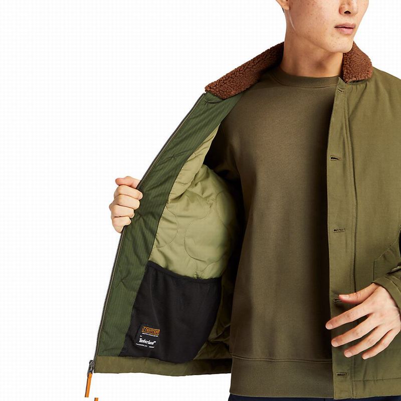 Timberland Corduroy Chore Jakne Maslinasto Zelene | 36860196