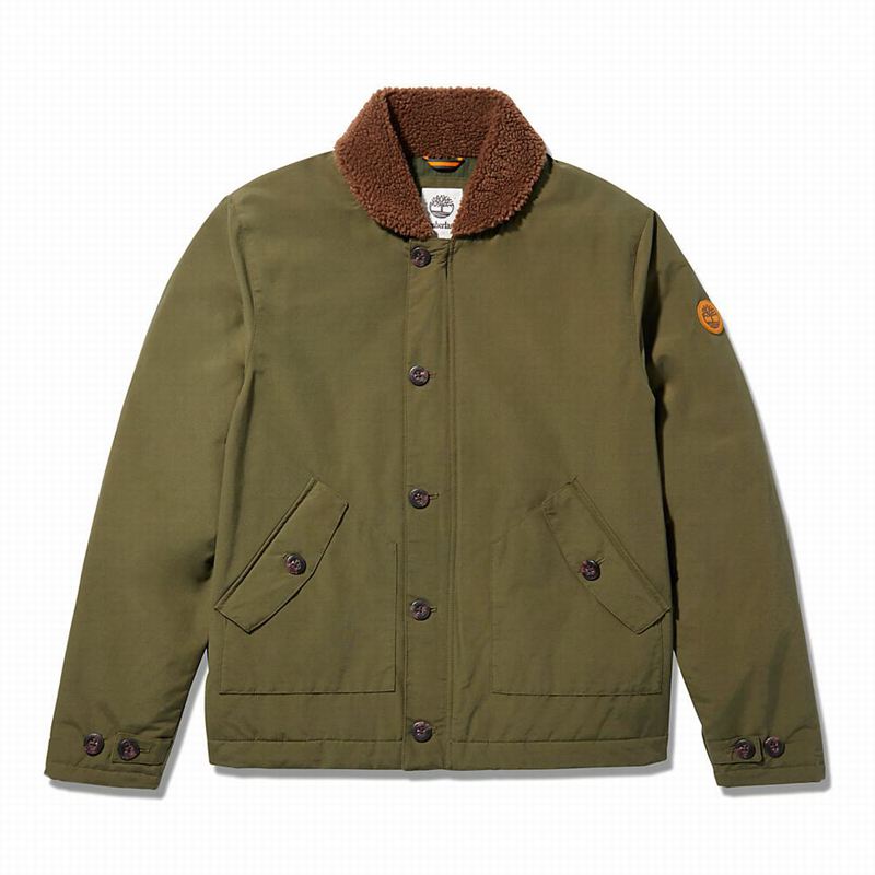 Timberland Corduroy Chore Jakne Maslinasto Zelene | 36860196