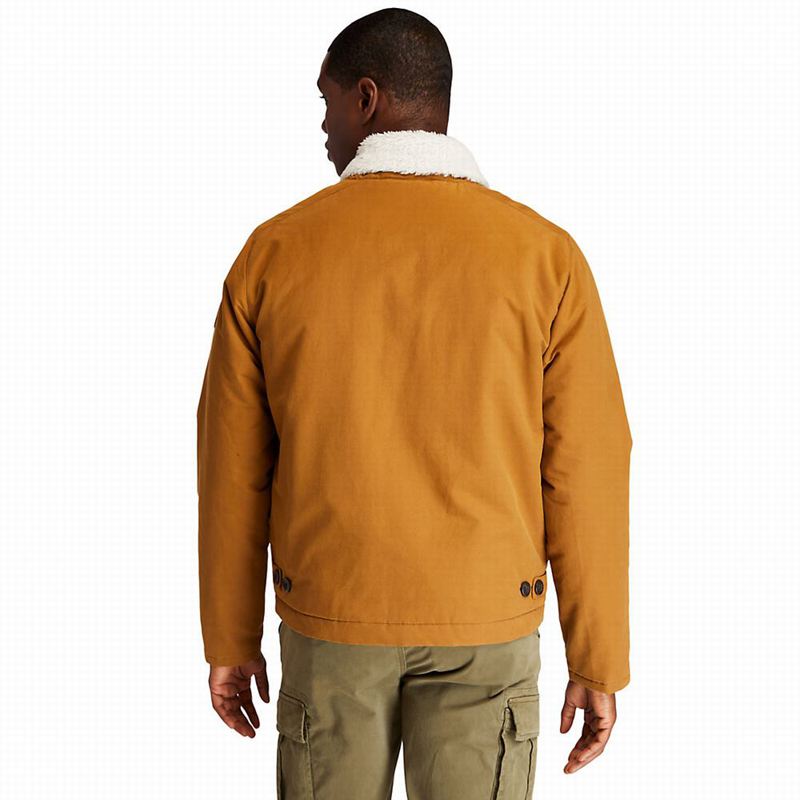 Timberland Corduroy Chore Jakne Smeđe | 64188054