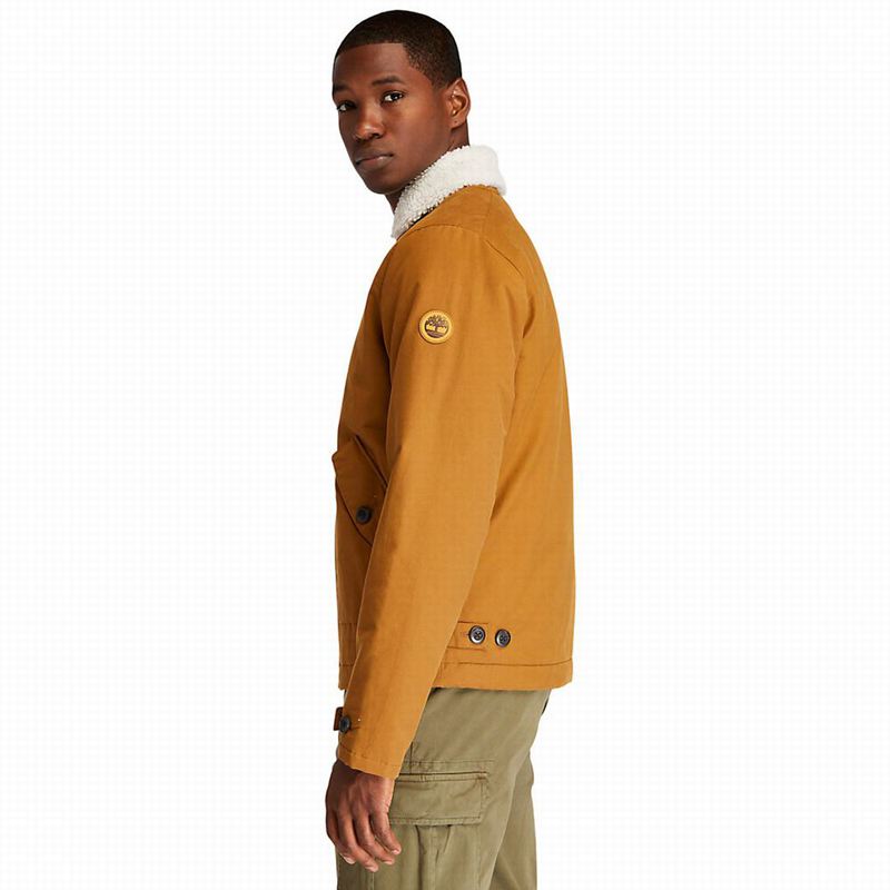 Timberland Corduroy Chore Jakne Smeđe | 64188054