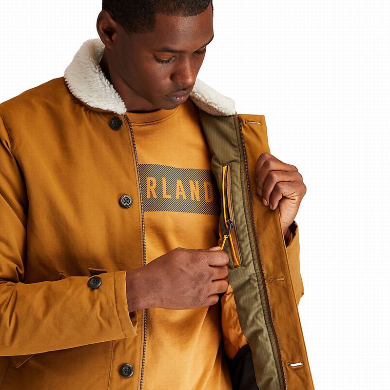 Timberland Corduroy Chore Jakne Smeđe | 64188054