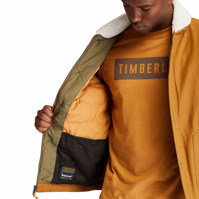 Timberland Corduroy Chore Jakne Smeđe | 64188054