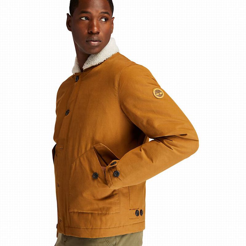 Timberland Corduroy Chore Jakne Smeđe | 64188054