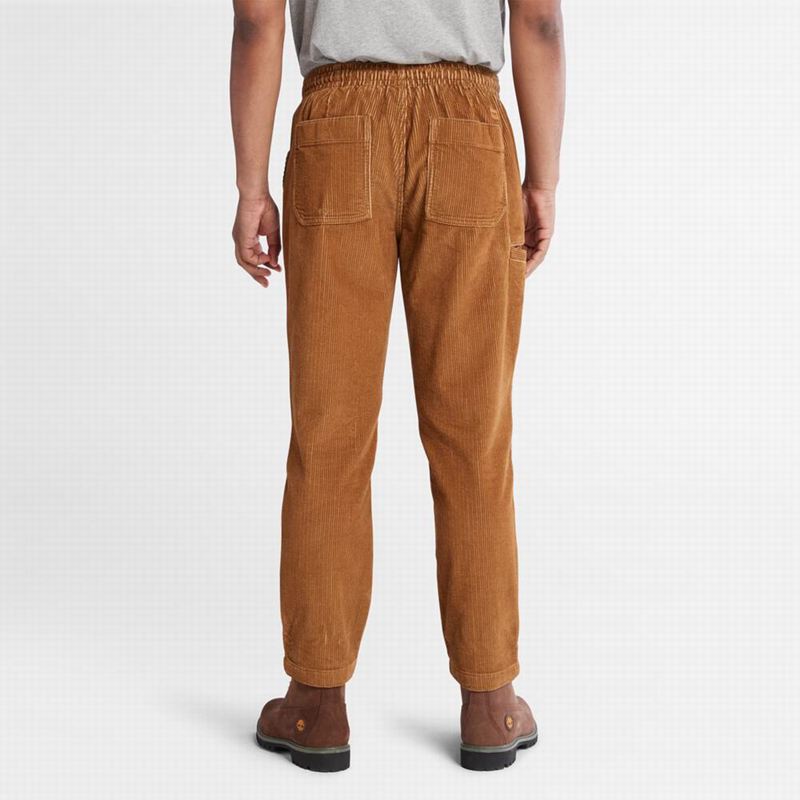 Timberland Corduroy Jogger Hlače Smeđe | 42218054