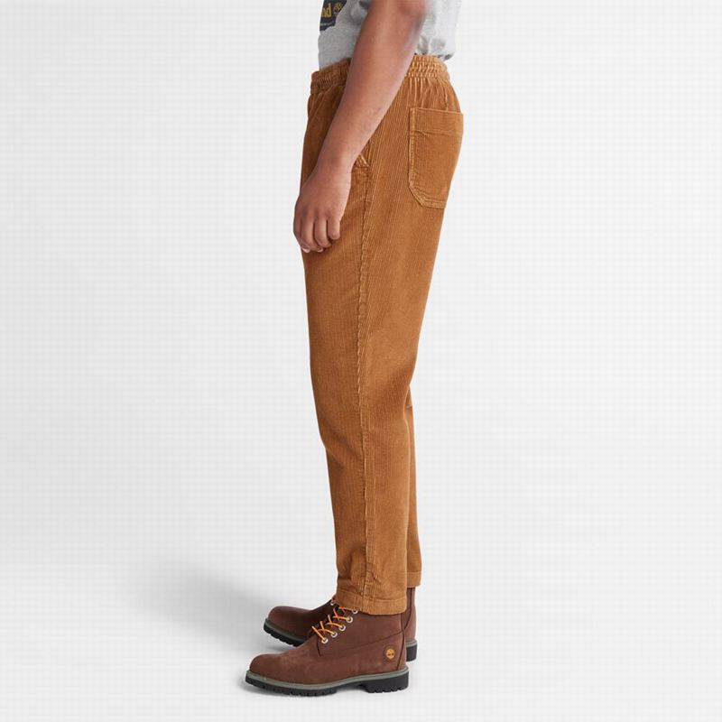 Timberland Corduroy Jogger Hlače Smeđe | 42218054