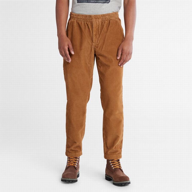 Timberland Corduroy Jogger Hlače Smeđe | 42218054
