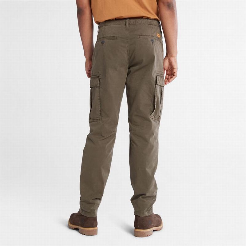 Timberland Core Twill Cargo Hlače Smeđe | 69414613
