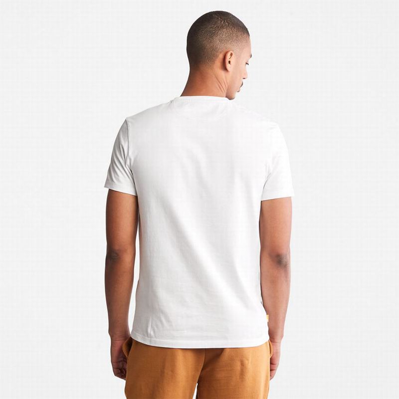 Timberland Cotton Logo Majice Bijele | 57242838