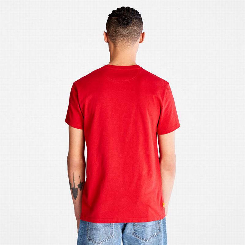 Timberland Cotton Logo Majice Crvene | 5750824