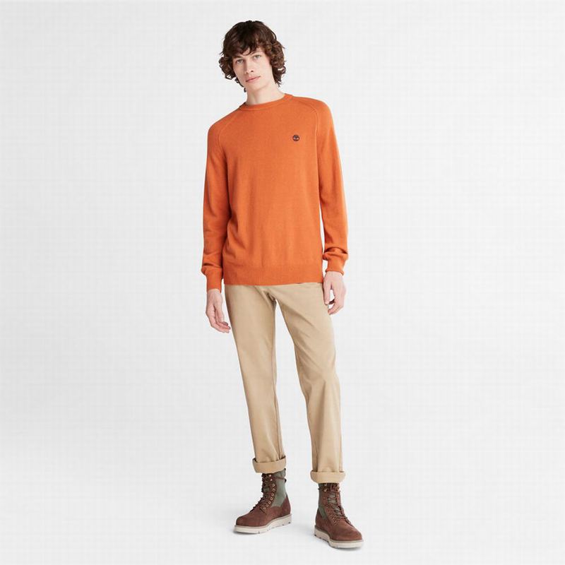 Timberland Crewneck Raglan Skakači Narančaste | 28847908