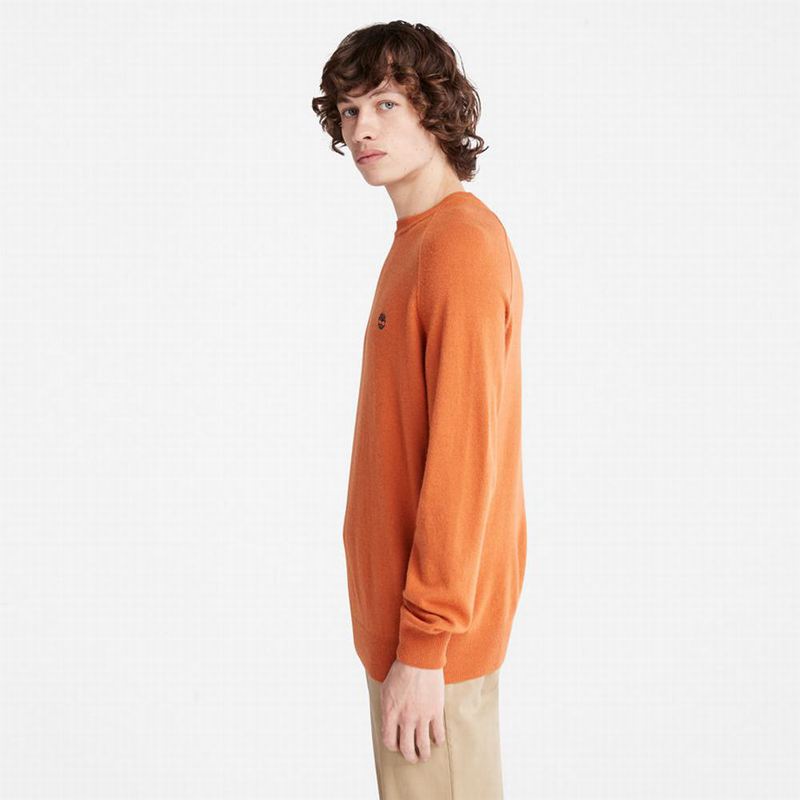 Timberland Crewneck Raglan Skakači Narančaste | 28847908