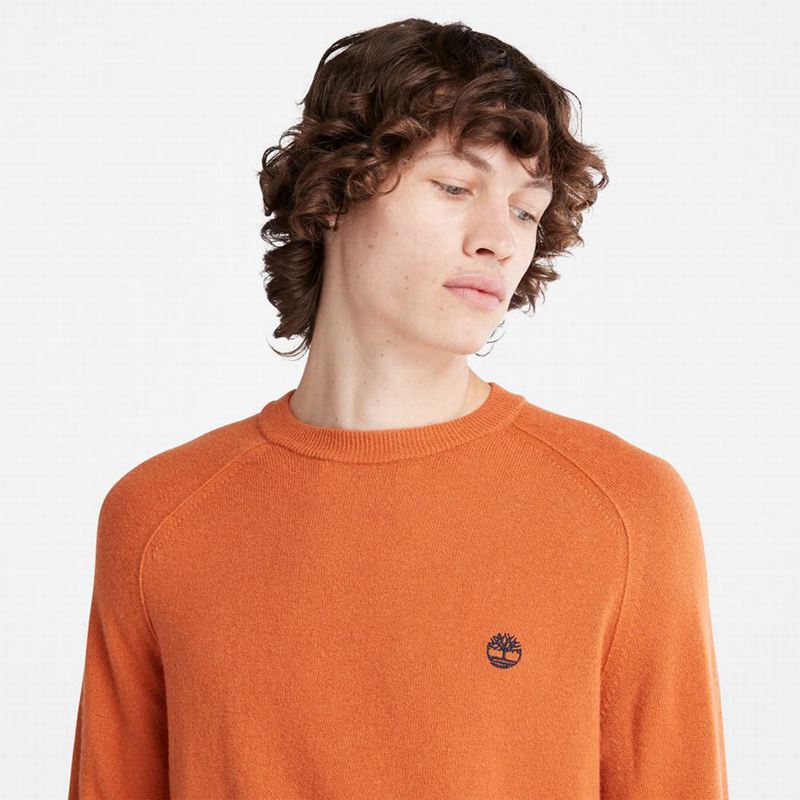 Timberland Crewneck Raglan Skakači Narančaste | 28847908