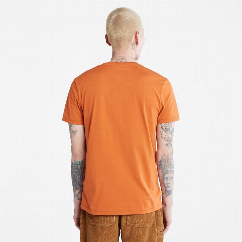 Timberland Cropped Logo Majice Narančaste | 93332054
