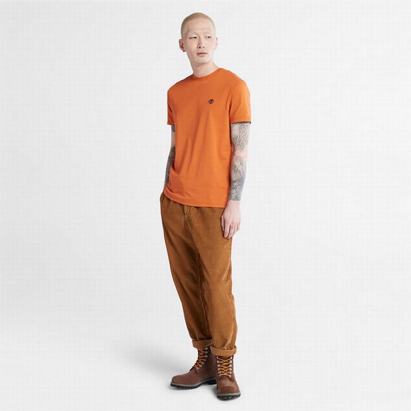 Timberland Cropped Logo Majice Narančaste | 93332054