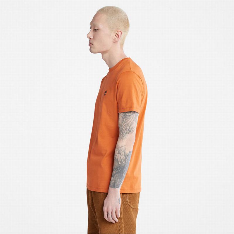 Timberland Cropped Logo Majice Narančaste | 93332054