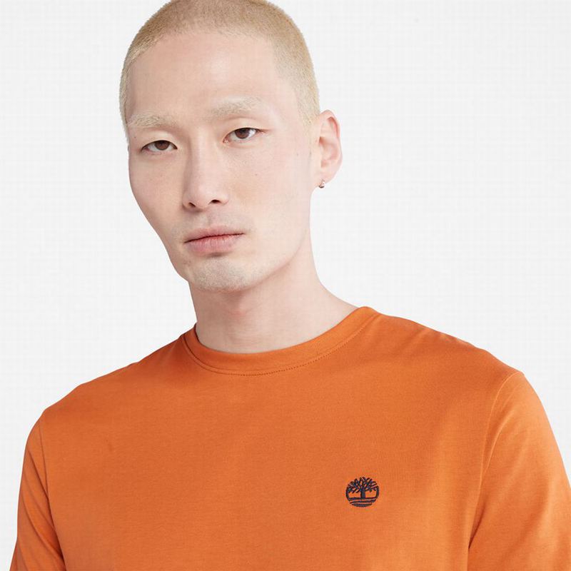 Timberland Cropped Logo Majice Narančaste | 93332054
