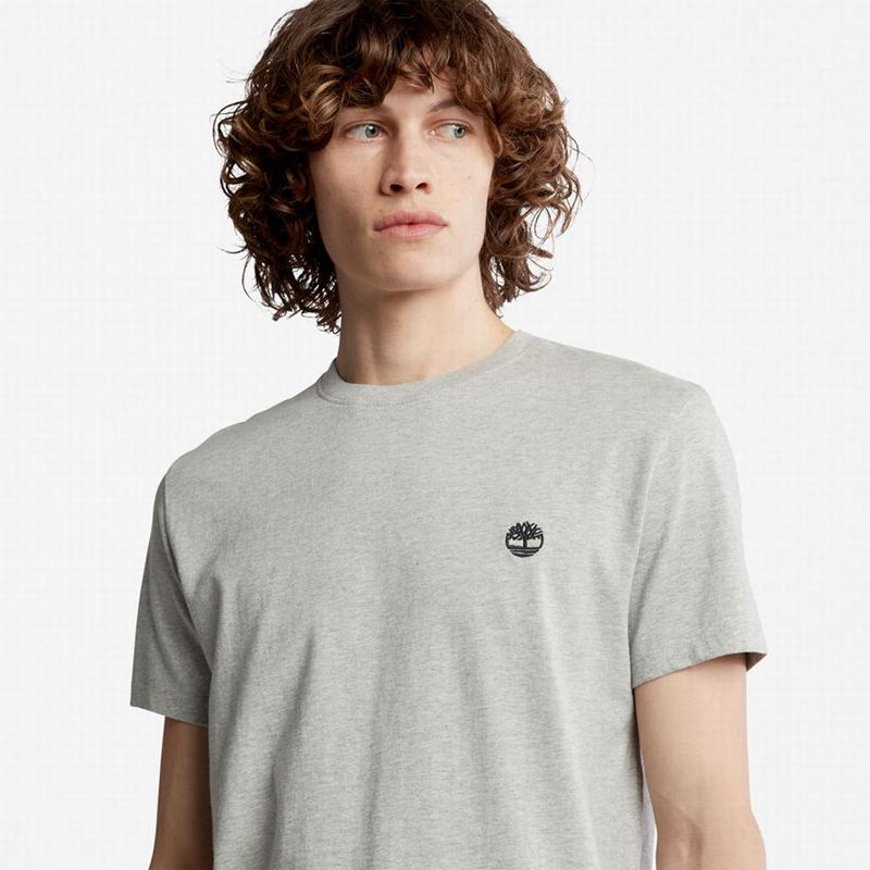 Timberland Cropped Logo Majice Sive | 85035810