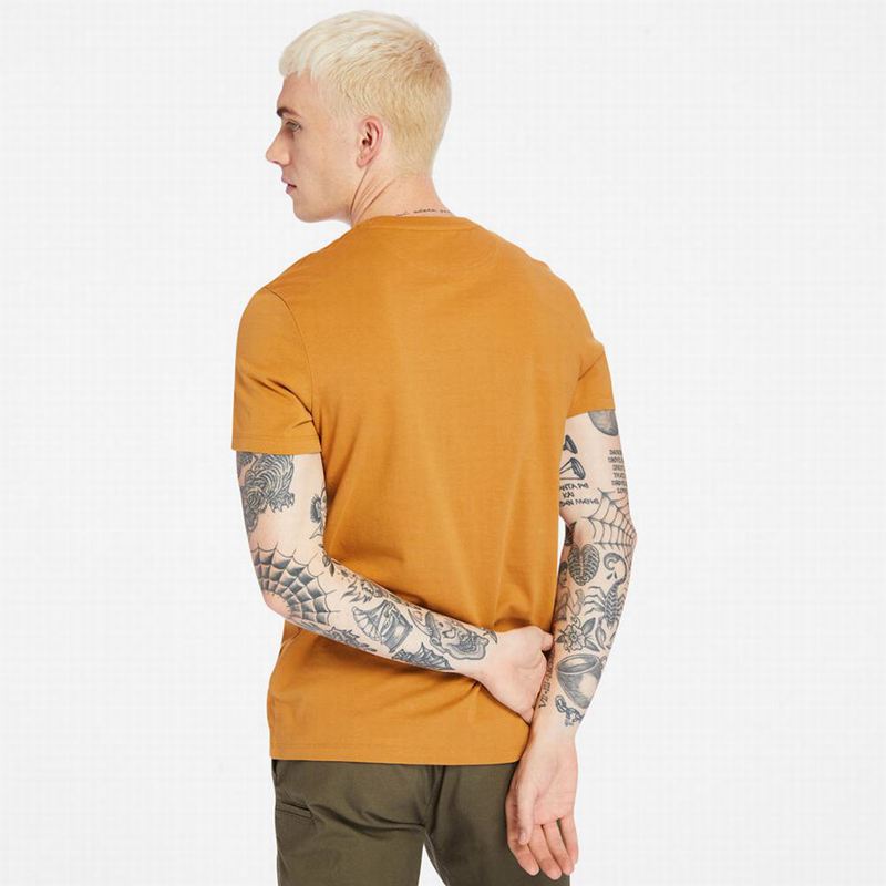 Timberland Cropped Logo Majice Žute | 68235672